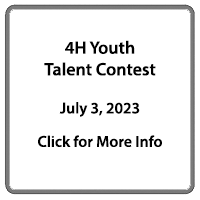 Talent Show