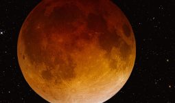 Lunar eclipse 4.15.2014 taken by R Jay GaBany