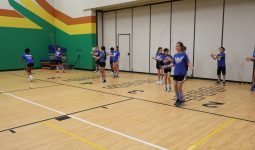 Spotlight on Elm Road