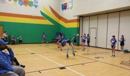 Spotlight on Elm Road