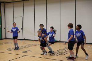 Spotlight on Elm Road
