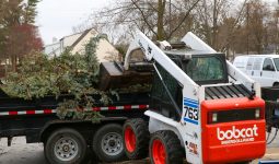 Bobcat moving storm debris
