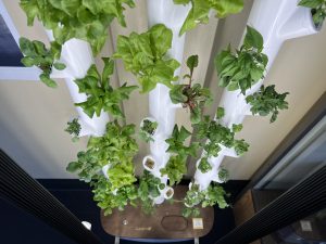 More than $73,000 PHMEF Grants Awarded